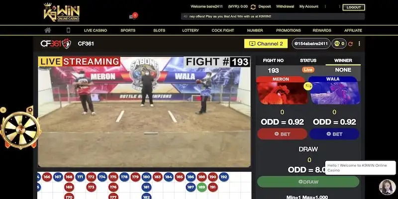 Hướng dẫn các quá trình cá cược đá gà tại K9win